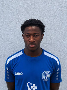 Tafadzwa Mwarianesu