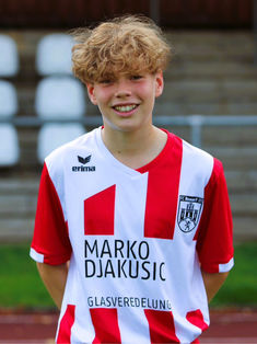 Louis Feldt