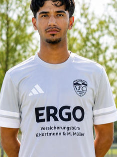 Sayed Hamed Hosseini