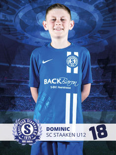 Dominic Lehmann