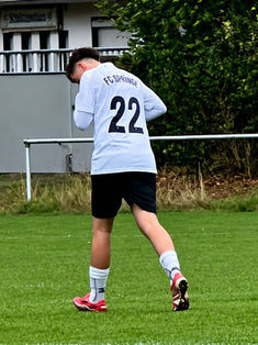 Fabian McCulloch