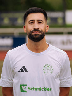 Niklas Alfonso Ibanez
