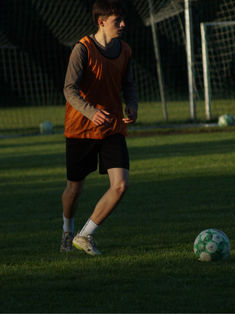 Sean Shaip Vidishiqi