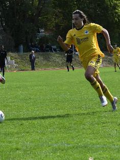 Tamayo Patolla