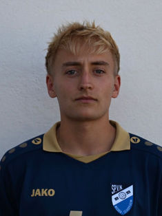 Julius Geiler