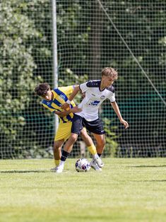 Tamino Krönert