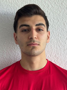 Amirhossein Hajiaghabozorgi