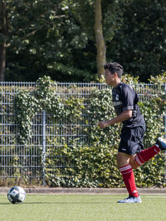 Amilio Struck Vaillant