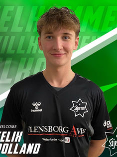 Felix Polland