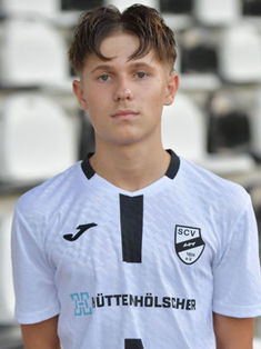 Milan Bartnik