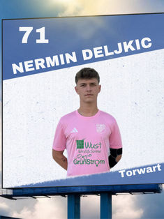 Nermin Deljkic