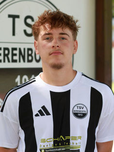 Paul Anton Meier