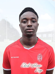 Cheikh Adrame Diop