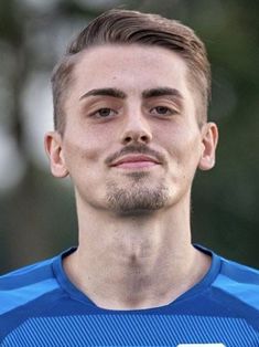 Henrik Streib