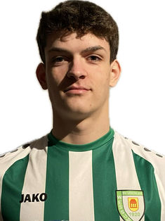 Matteo Niewerth
