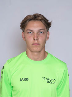 Henry Johannes Fink