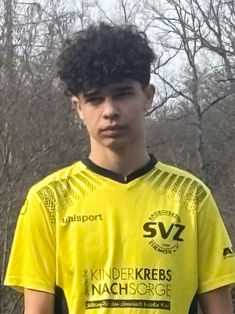 Dario Serban
