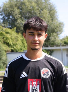 Aldin Ramicevic