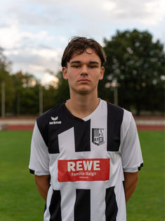Alisan Hodzic