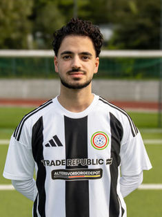 Mehmet Halit Alpay