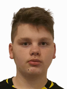 Finn Leber