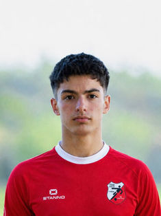 Samed Mehovic