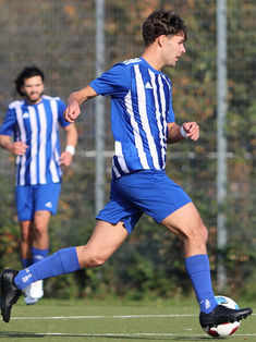 Lewe Luis Tiede