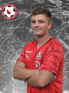 Niclas De Luca