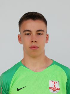 Niko Woywodt