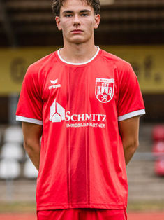 Henning Plein
