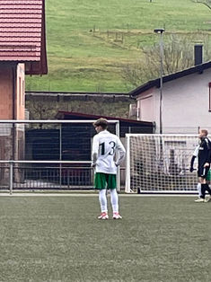 Gino-Mario Andreoli