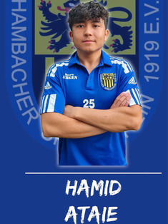 Hamid Ataie