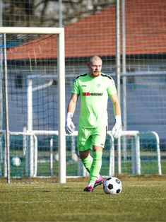 Dominik Vollmer