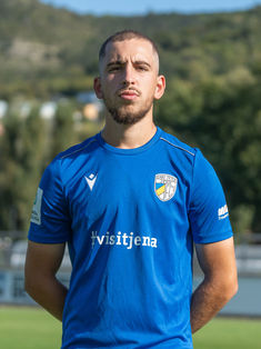 Aulon Shoshaj