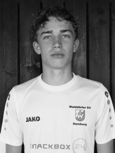 Arthur Erik Schreiber