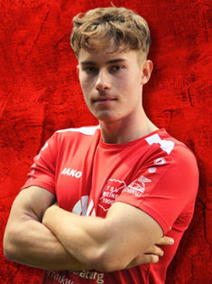 Maximilian Brandes