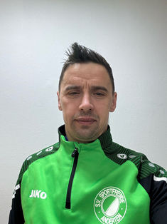 Mihai-Laurentiu Crismaru