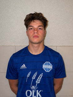 Louis Noll