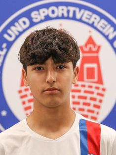 Mohammad Ehsan Azimi