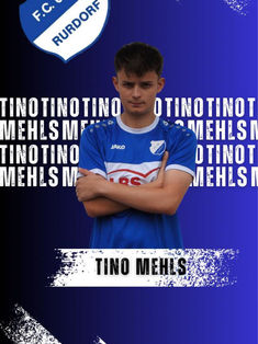 Tino Mehls