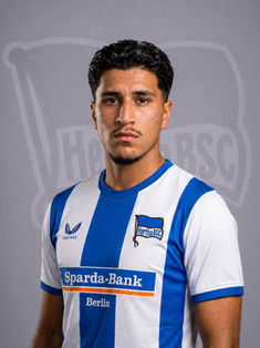 Rohan Pirayegdehlou