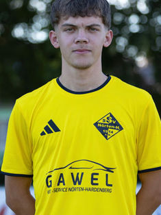 Nicolas Lösekrug