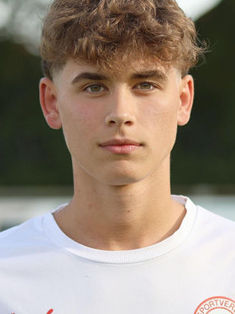 Levin Fahnster
